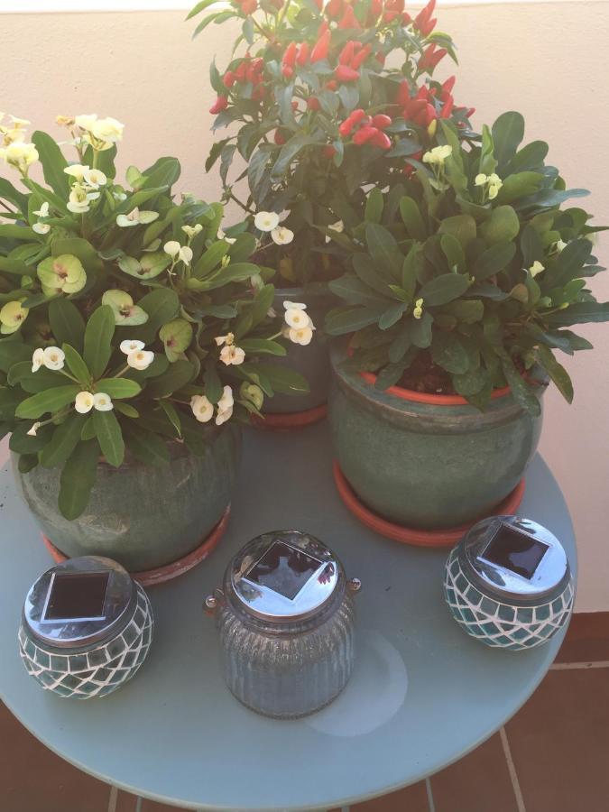 B&B Casa Louisa, Torre Del Mar- Valleniza Velez Malaga Exteriör bild